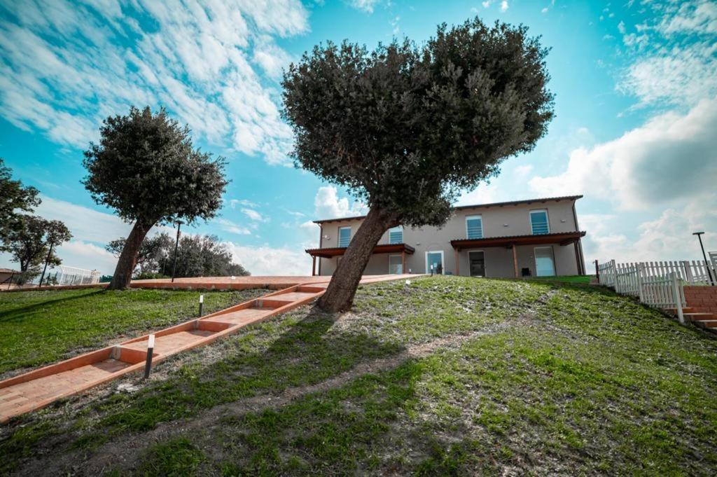 Agriturismo Il Colle Dei Lecci Ancona Eksteriør bilde